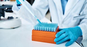 scientist using a pipette and petri dish