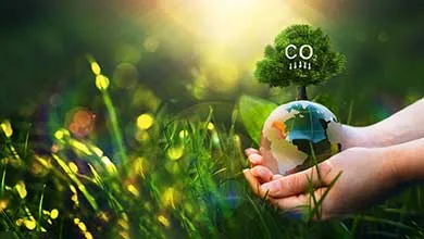 Hands cradle a small Earth globe in a sunlit field. A tree sprouts from the globe, its leaves forming "CO2" with downward arrows, symbolizing carbon reduction.