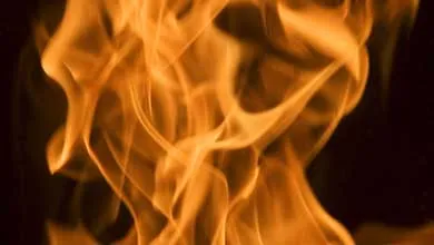 Close-up of bright orange flames rising against a dark background, representing fire resistance and flame exposure.