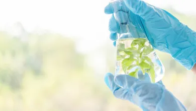 Pile of small blue plastic resin pellets on a white background.