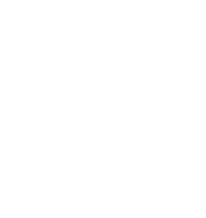 Focus on Trust, Diversity & Inclusion and Development 